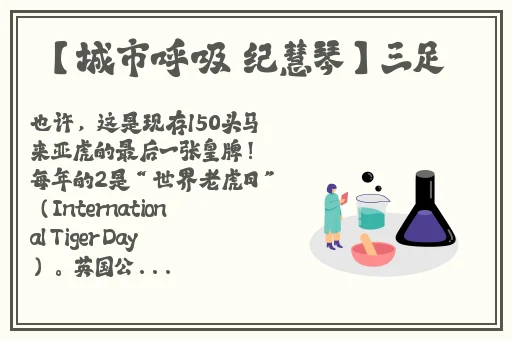 144大但人文艺术